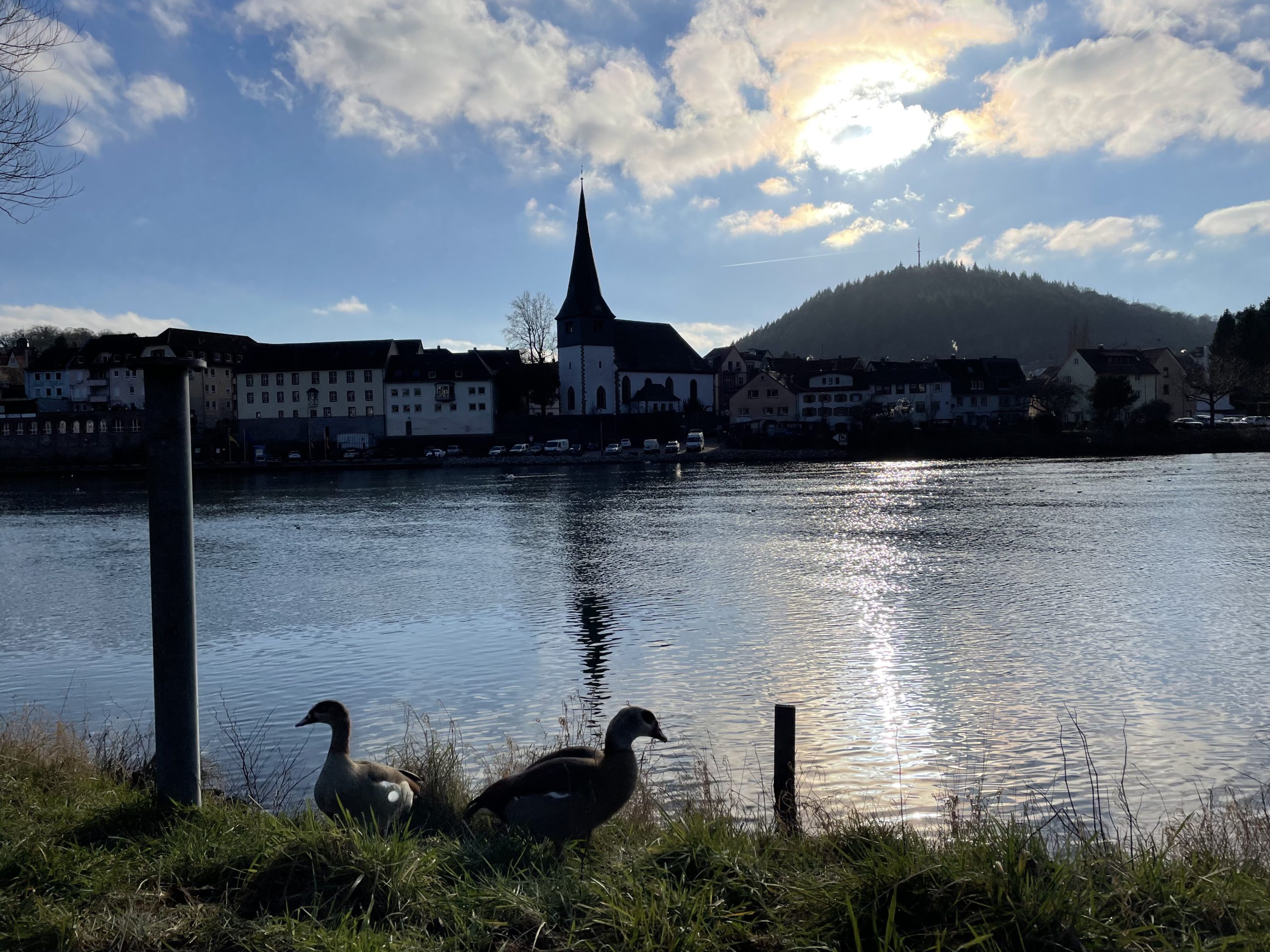 Neckar und Altstadt