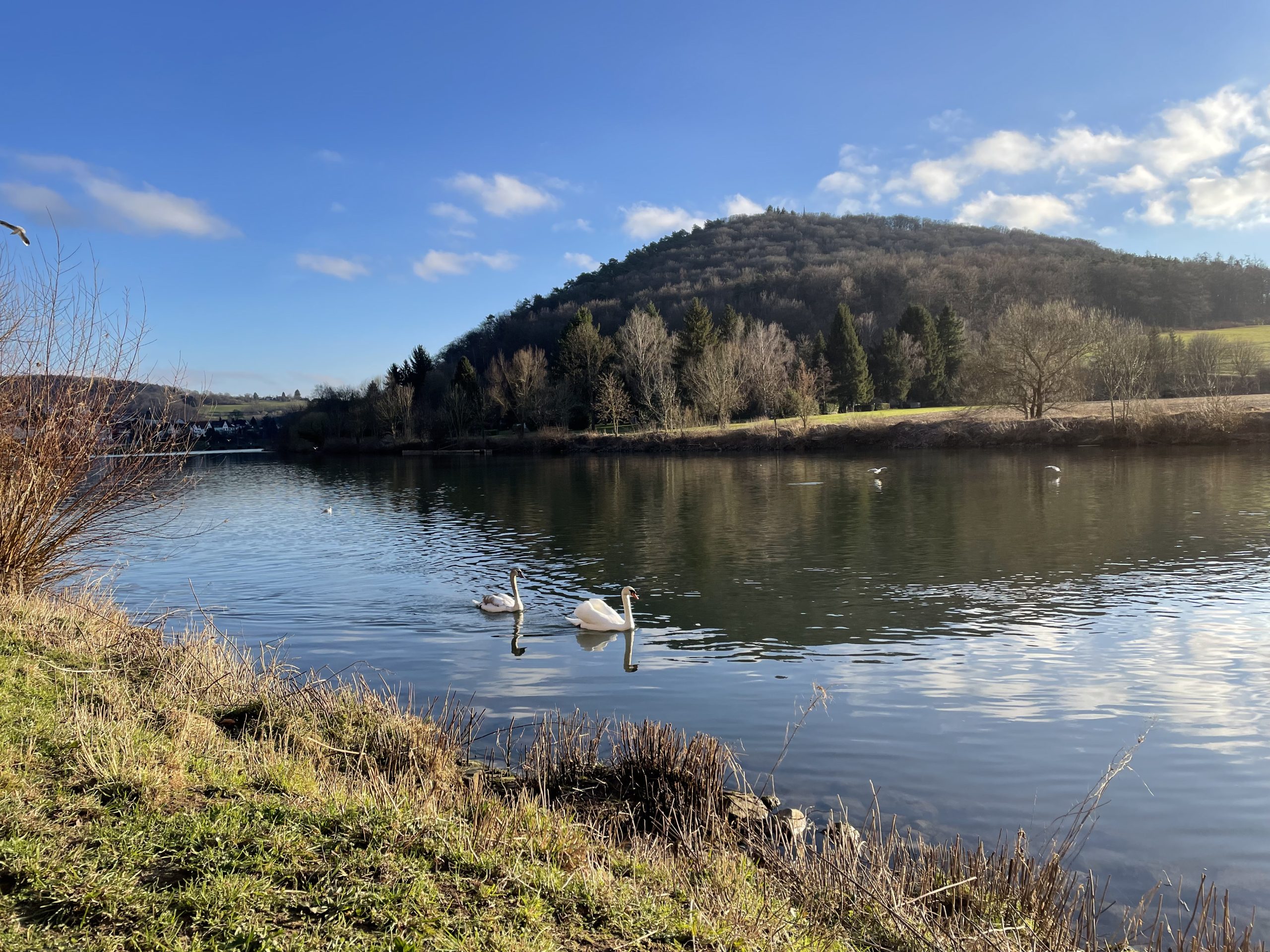 Neckar